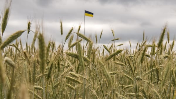 Аграрная оккупация Украины